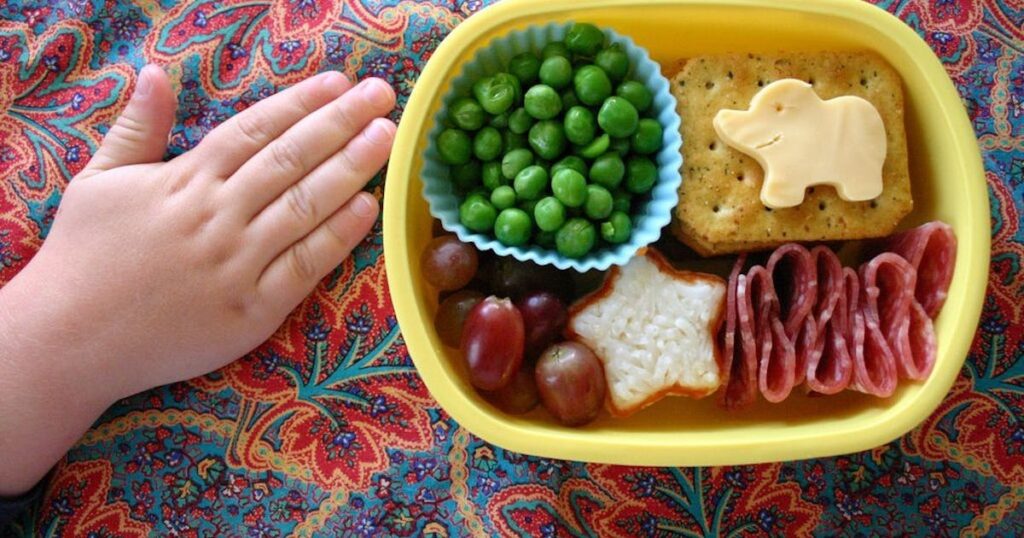 Nutritious Toddler Lunch Ideas for Daycare